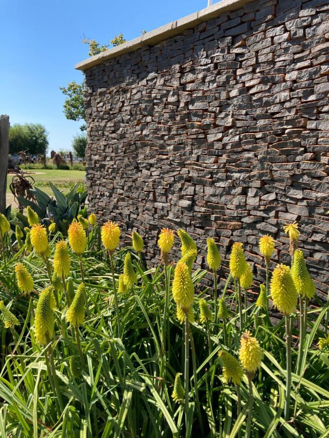 The Vaal Guesthouse Oranjeville Eksteriør billede