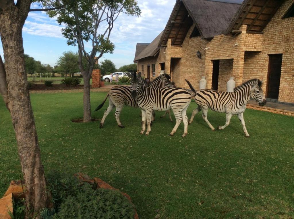 The Vaal Guesthouse Oranjeville Eksteriør billede